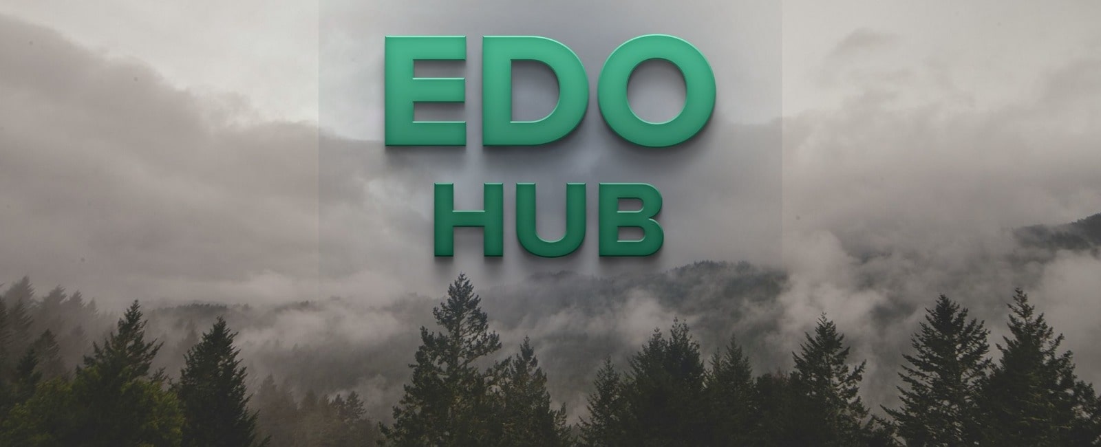 EDIN запустил новый проект EDO HUB